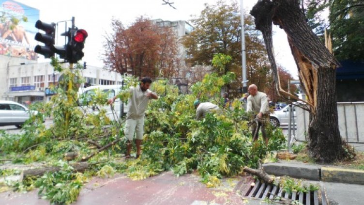 Снимка: Impact Press Group