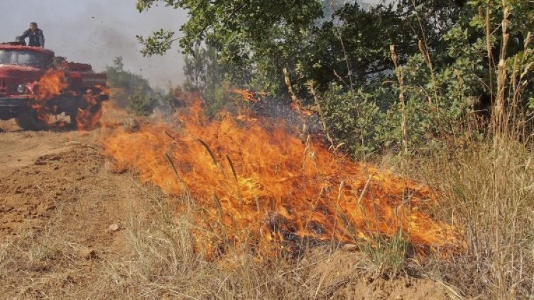 Снимка: Булфото, архив