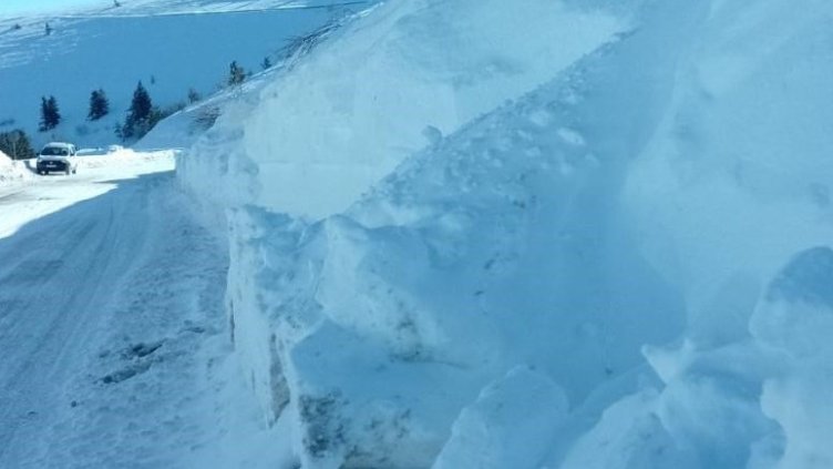 БГНЕС, архив