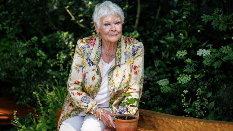 Снимка: архив, БГНЕС