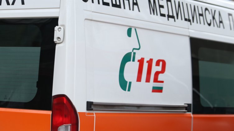 Снимка: архив, БГНЕС