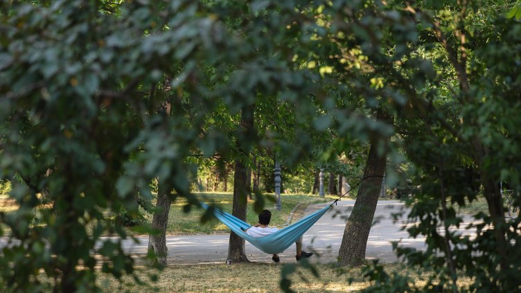 Снимка: архив, БГНЕС