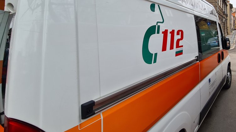 Снимка: архив, БГНЕС