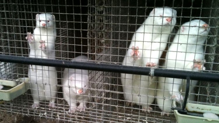 Снимка Фейсбук