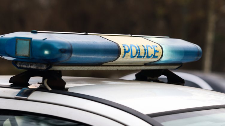 Снимка: архив, БГНЕС