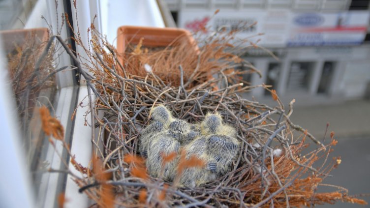 Снимка: istock