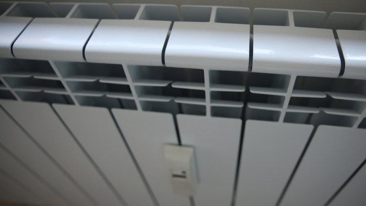 Снимка: архив, БГНЕС