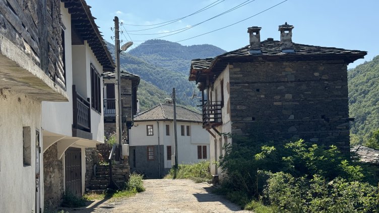 Снимка: архив, БГНЕС