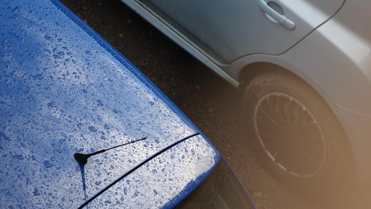 БГНЕС, архив