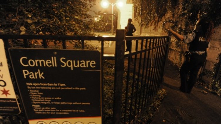 12 души са ранени при стрелба в чикагски парк. Снимка: БТА