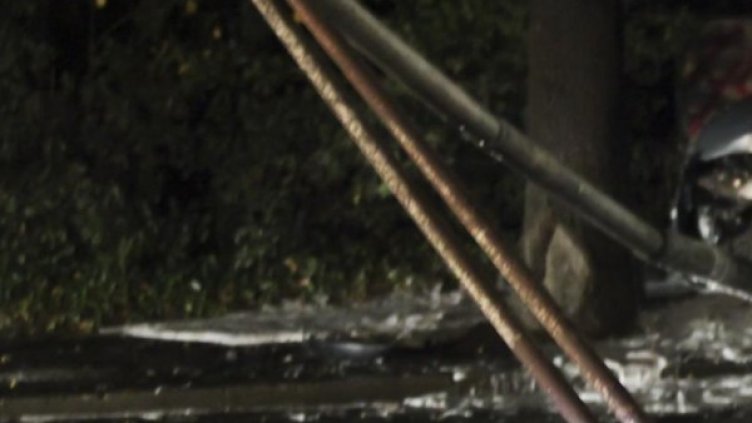 Снимка: Булфото, архив