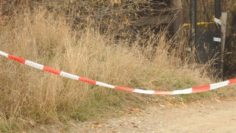 Снимка: Булфото, архив