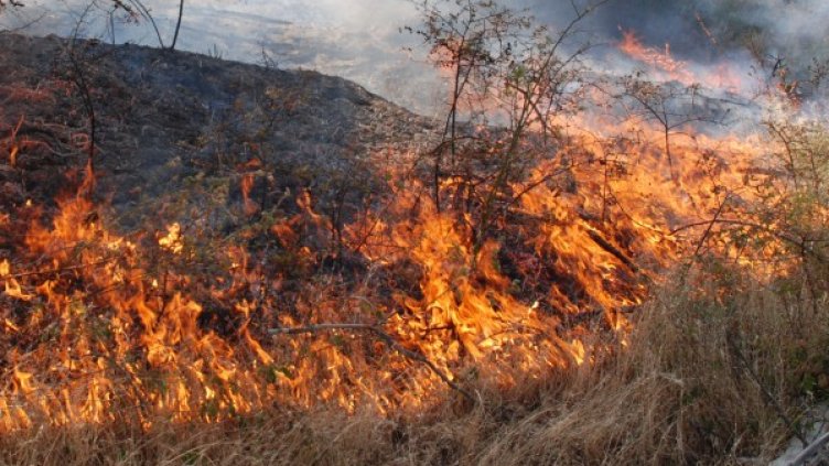 Снимка: архив БТА