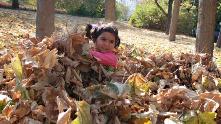 Снимка: Булфото, архив