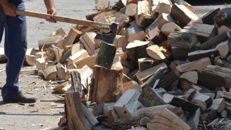 Снимка: архив, Булфото