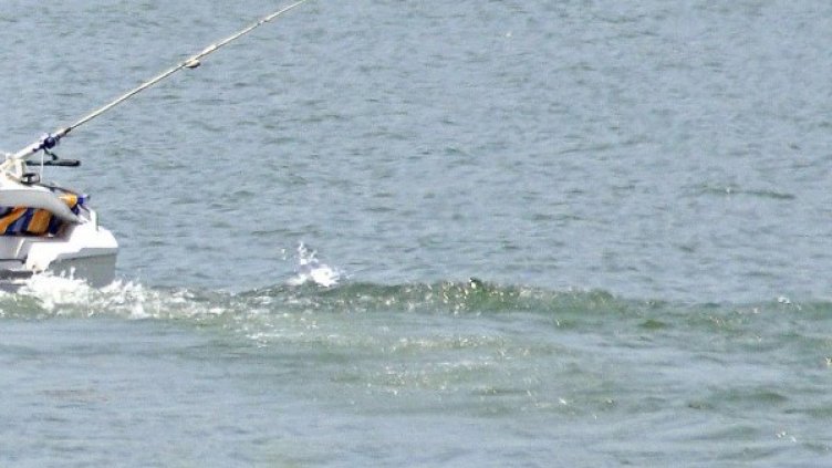 Снимка: архив, Булфото