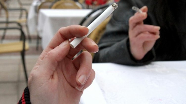 Снимка: Impact Press Group