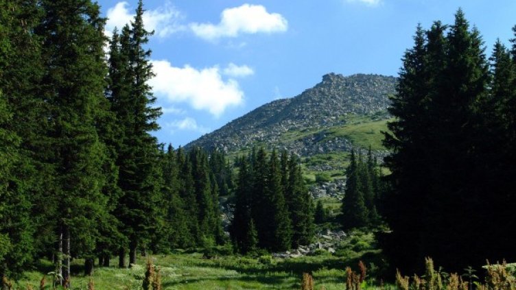 Витоша. Снимка: Булфото