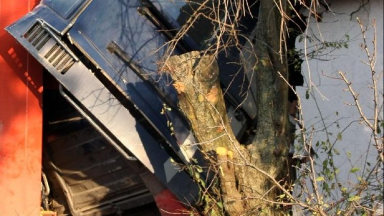 Снимка: архив, Булфото