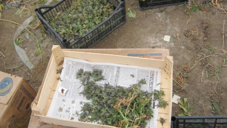 Снимка: архив Булфото