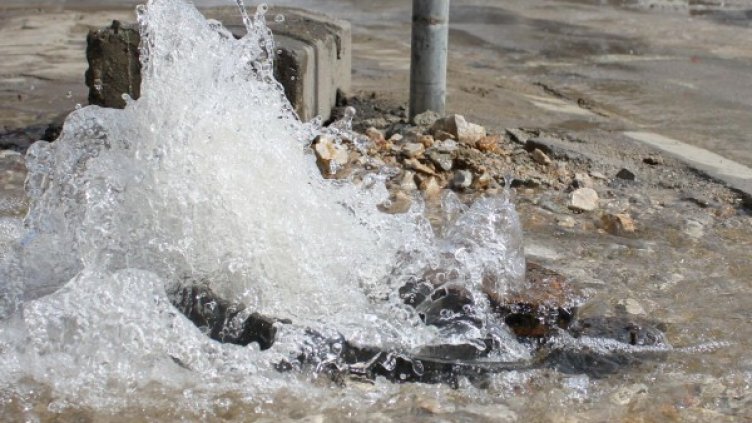 Снимка: архив, Булфото