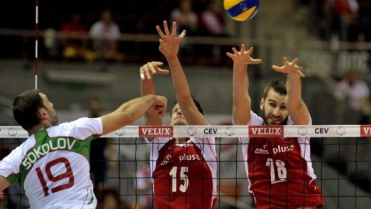 Цветан Соколов. Снимка: CEV