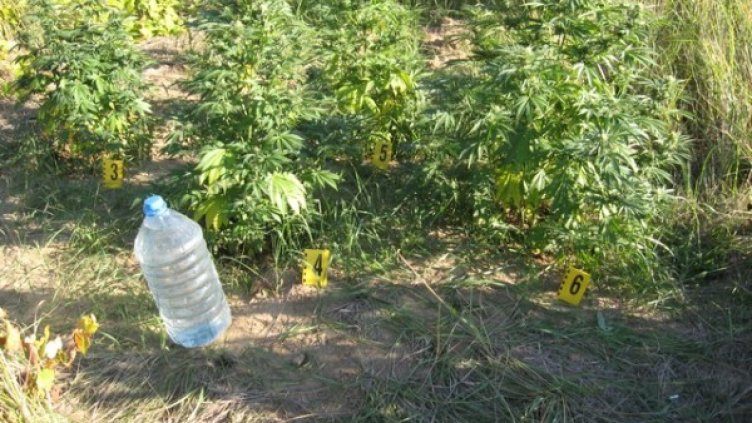 Снимка: МВР