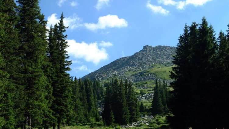 Снимка: Булфото, архив