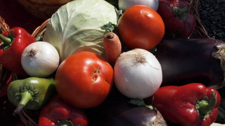 Снимка: архив, Булфото