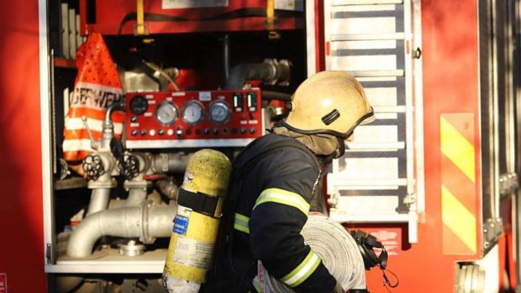 БГНЕС, архив