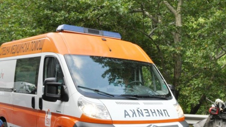 Снимка: Булфото, архив