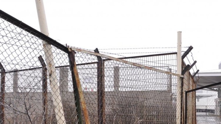 Снимка: архив Булфото