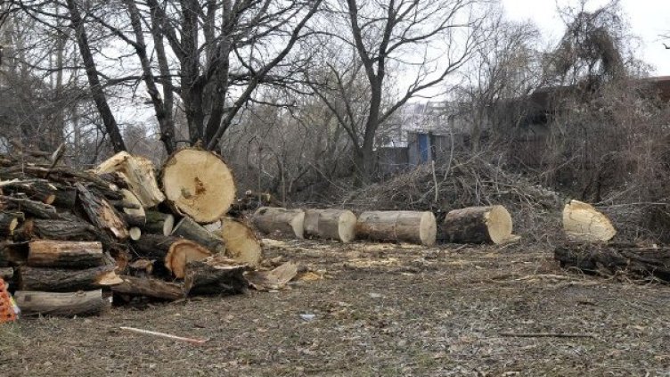 Снимка: архив, Булфото