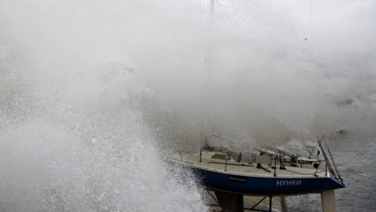 Снимка: Impact Press Group