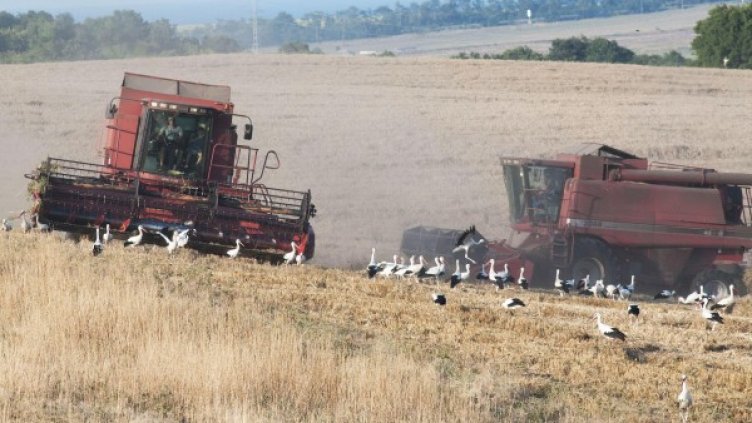 Снимка: Булфото