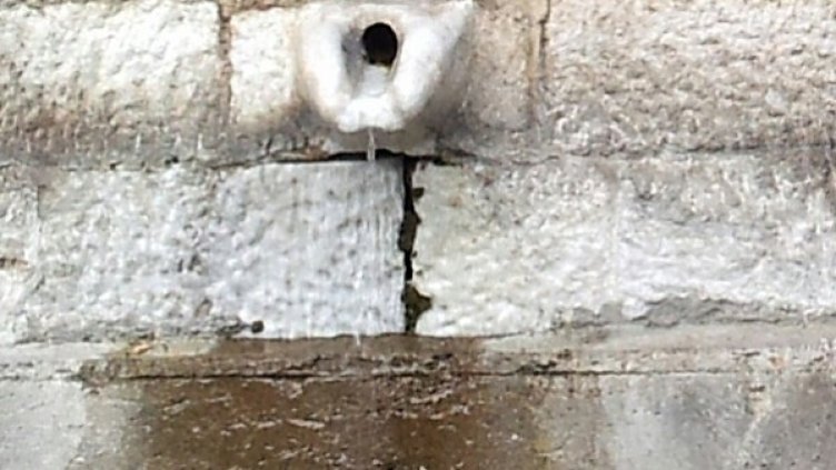 Снимка: Impact Press Group