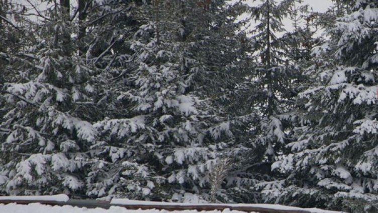 Кога ли ще дойде време за ски? Снимка: архив, Булфото