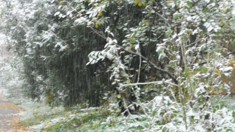 Снимка: архив, Булфото