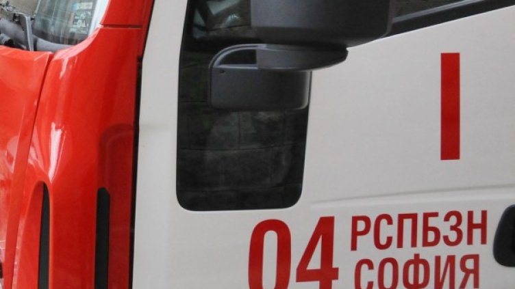 Снимка: архив, Булфото