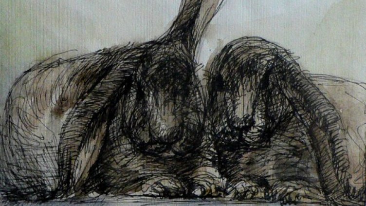 Снимка: Арт Муза