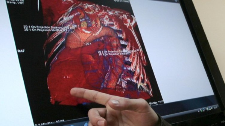 Снимка: Impact Press Group