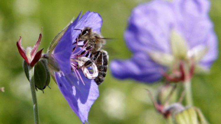 Снимка: архив, Reuters