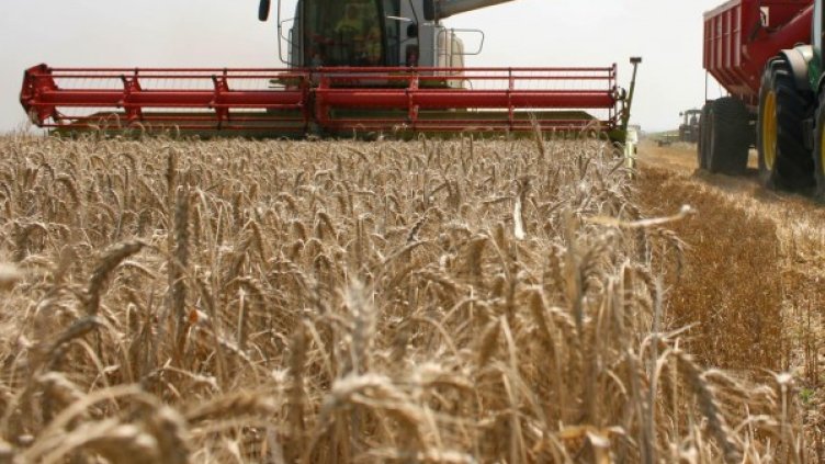 Новата агенция трябва да заработи до март 2014 г. Снимка: БулФото-архив