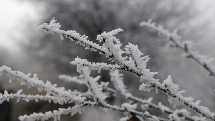 Рекордно ниски температури в 26 населени места. Снимка: архив, БулФото