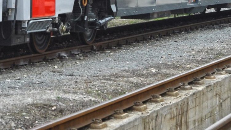 Снимка: БулФото-архив