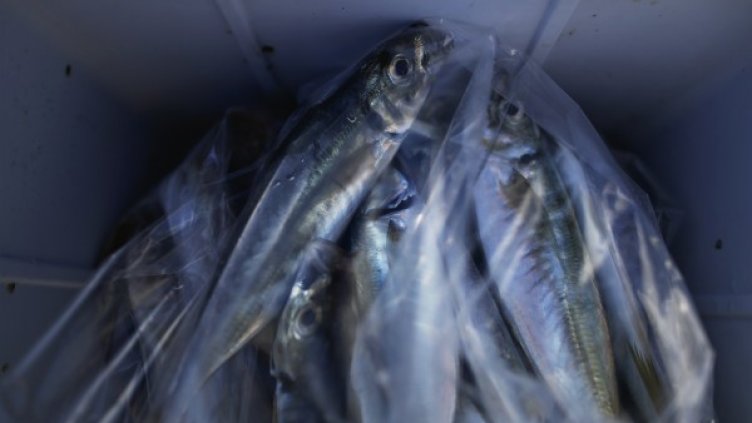 Снимка: архив, Reuters