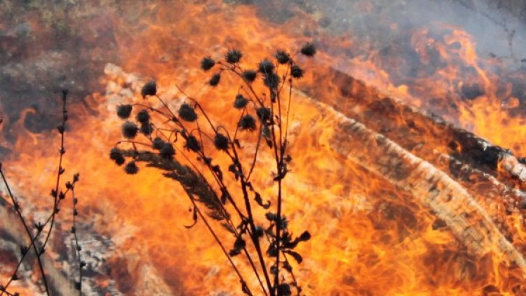 Снимка: архив, Булфото