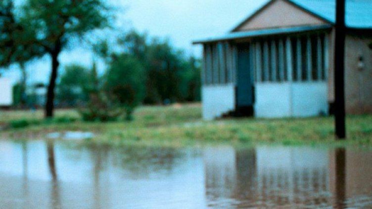 Снимка: архив