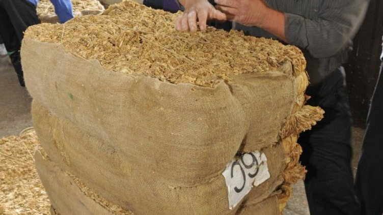 Снимка: архив Булфото