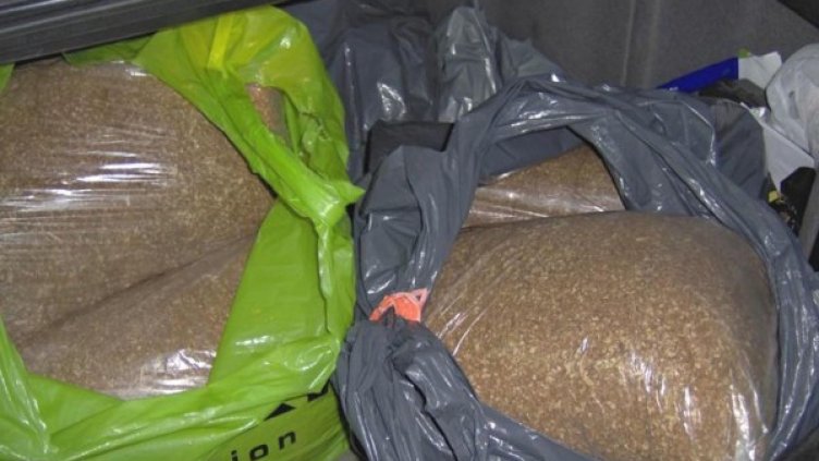 Снимка: Булфото, архив